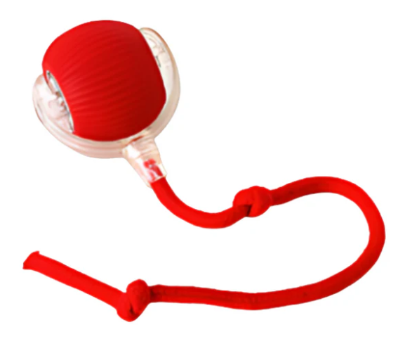 Ballspielen für Haustier (Hund oder Katze)