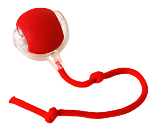 Ballspielen für Haustier (Hund oder Katze)