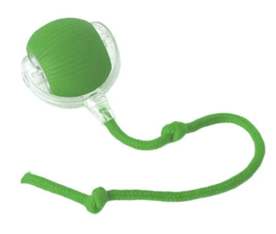 Ballspielen für Haustier (Hund oder Katze)