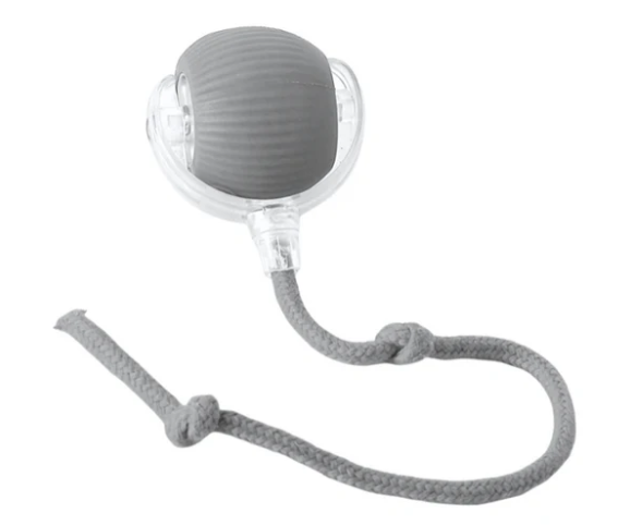 Ballspielen für Haustier (Hund oder Katze)